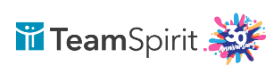 TeamSpirit 勤怠