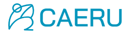 CAERU株式会社